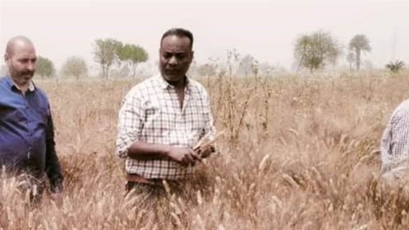 جانب من تفقد حقول