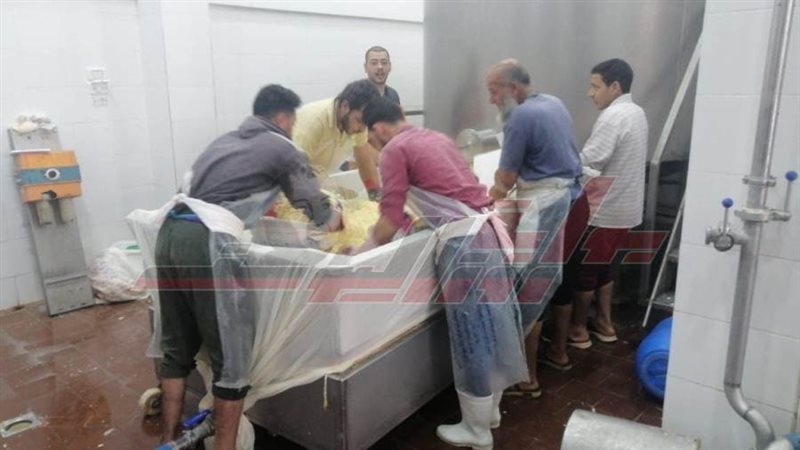 معامل الألبان