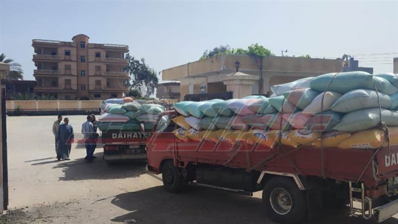 توريد القمح