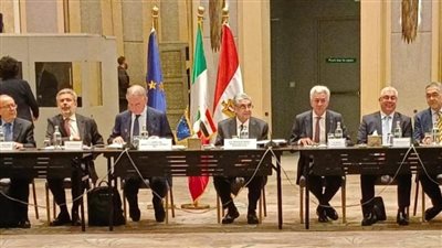 الترويج للاستثمار في الطاقة الجديدة والمتجددة والربط الكهربائي بين مصر وأوروبا 