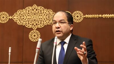  النائب عادل اللمعي يطالب الحكومة بتشديد الرقابة على الأسواق 