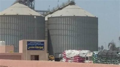 توريد  5 آلاف و187 طن قمح لصوامع وشون بني سويف