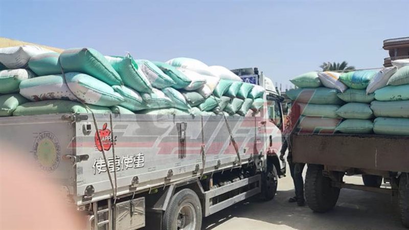 توريد القمح