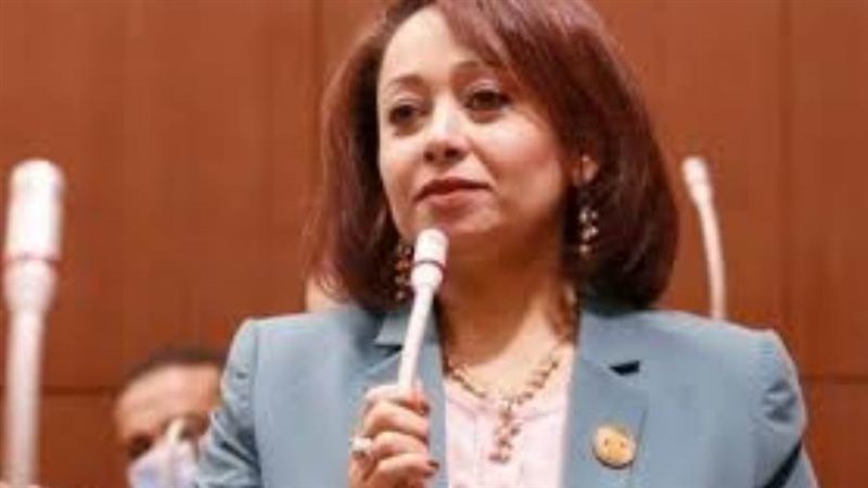 النائبة رشا اسحق