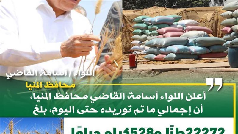 توريد محصول القمح