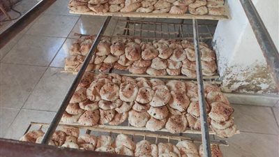 تموين القاهرة: تحرير 410 محاضر لمخابز بسبب عدم التزامها بالأوزان والمواصفات