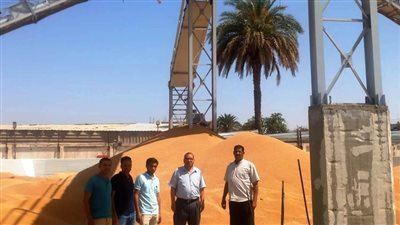سوهاج.. متابعة معدلات توريد القمح للشون والصوامع