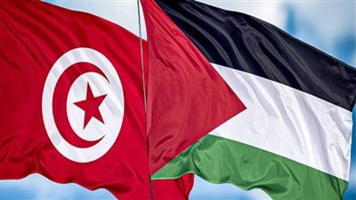 مندوب تونس بالأمم المتحدة يدعو المجتمع الدولي لوضع حد للعدوان الإسرائيلي على الشعب الفلسطيني