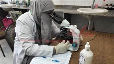 تدشين قافلة طبية مجانية بقرية السيد البدوي في كفر الشيخ 