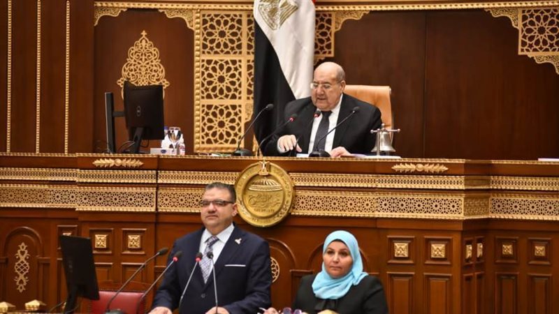 النائب سيد حجازى