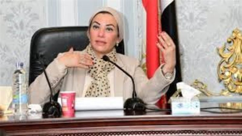 ياسمين فؤاد