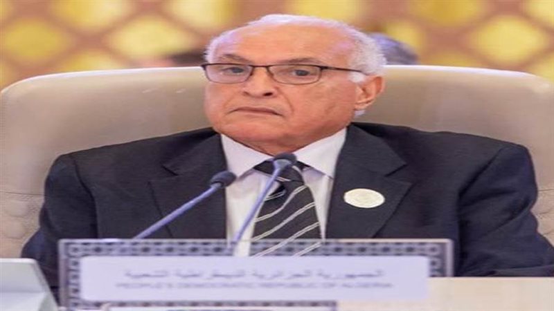 وزير الخارجية أحمد