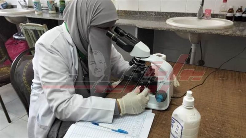 القافلة الطبية