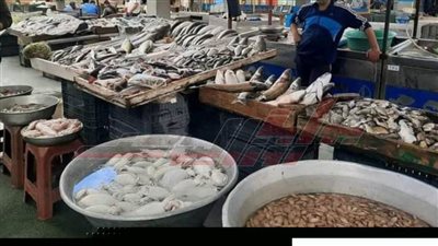 مقاطعة المستهلكين للأسماك سلاح ضد جشع التجار في مطروح