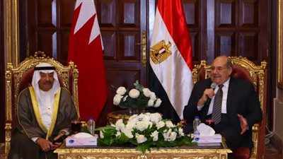 رئيس الشيوخ يلتقي رئيس الشورى البحريني.. إشادة بإحباط مصر مخطط التهجير القسري