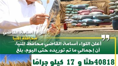 توريد 41 طنًا من محصول القمح بالشون والصوامع بالمنيا
