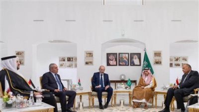 اللجنة الوزارية العربية الإسلامية بشأن غزة تؤكد ضرورة فرض عقوبات فاعلة على إسرائيل