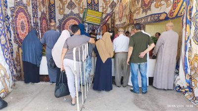 الوادي الجديد تطرح اسماك بلطي بـ20 جنيها للكيلو أمام المواطنين