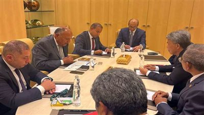 شكرى ونظيره الماليزى يؤكدان على الرغبة المشتركة في مواصلة تعزيز التعاون المشتركة