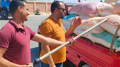 توريد 44372 طن قمح وسط رقابة مشددة من لجان الفزر