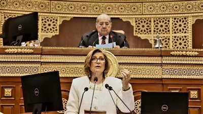 جدل بمجلس الشيوخ حول جدوى التعليم النظري خلال مناقشة جودة التعليم