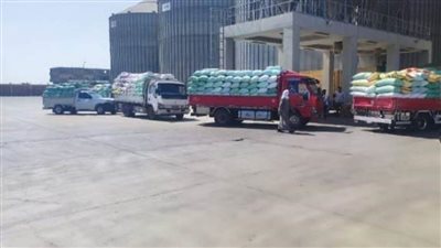 الشرقية: توريد 252869 ألف طن قمح للصوامع والشون