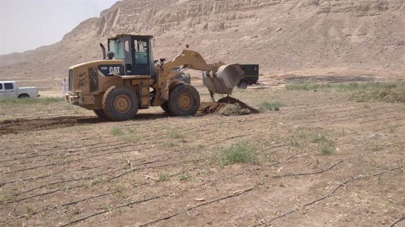 إزالة التعديات بأسيوط