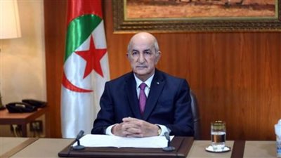 رئيس الجزائر يؤكد على ضرورة مراعاة الاحتياجات التنموية والأولويات الوطنية للدول الأفريقية