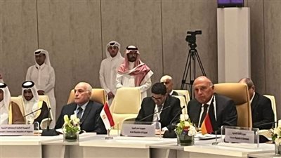 شكري يدعو إلى ضرورة قيام الأطراف الدولية بالاعتراف بالدولة الفلسطينية