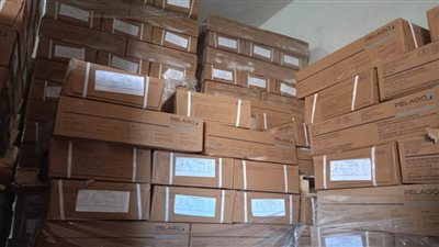 إحباط محاولة بيع 130 طن أسماك مجهولة المصدر بالبحيرة