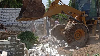 استرداد 5 أفدنة وإزالة 264 حالة تعد على الأرض الزراعية وأملاك الدولة بالمنيا خلال أسبوع