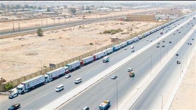 صندوق تحيا مصر يطلق القافلة الإغاثية الخامسة لدعم الأشقاء في قطاع غزة