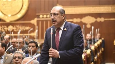 «إيهاب وهبة» يطالب بالتوقف عن إنشاء كليات جديدة غير مرتبطة بسوق العمل