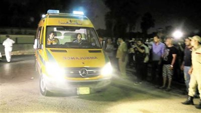 مصرع طفل وجده وإصابة آخر في حادث مروري بالوادي الجديد 