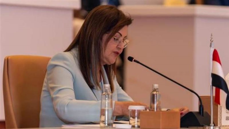 وزيرة التخطيط