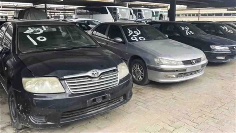 صورة أرشيفية روزا