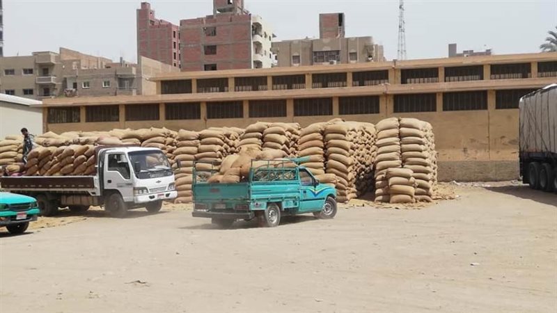 توريد القمح بأسيوط