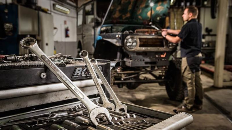 صورة أرشيفية روزا