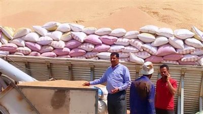 محافظ سوهاج: توريد 20 ألفا و 753 طن قمح للشون والصوامع منذ بدء الموسم 