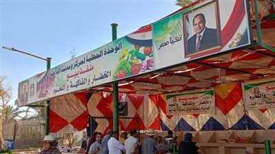 أسماك وخضروات بأسعار مخفضة بالمنافذ الثابتة والمتنقلة بالوادي الجديد 