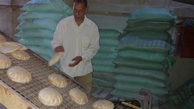  تحرير 2324 محضرا لمخابز مدعمة وسياحية و 1355 قضية تموينية بالأسواق بالبحيرة