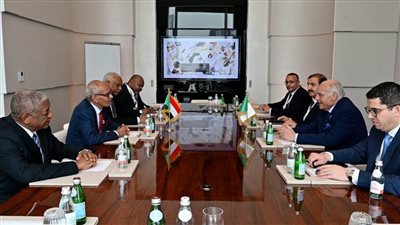 وزيرا خارجية الصومال والجزائر يبحثان تطورات الأوضاع في المنطقة