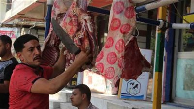  تكثيف الحملات الرقابية على منافذ بيع الأسماك واللحوم والمواقف بالفيوم 