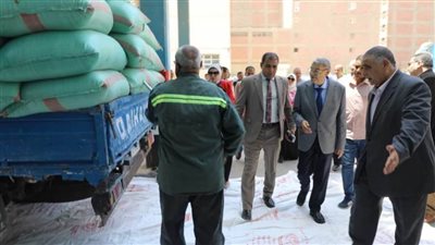 شون وصوامع المنيا تستقبل 78 ألف طن من محصول القمح لموسم حصاد 2024