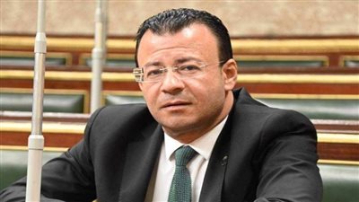 برلماني: توجيهات الرئيس بتخصيص ٥ مليارات لصندوق طوارئ العمل يعكس حرصه على حماية حقوقهم