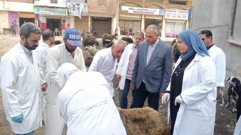 جانب من القافلة