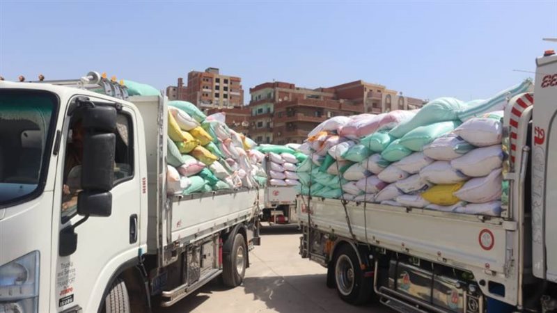 سيارات محملة بالقمح