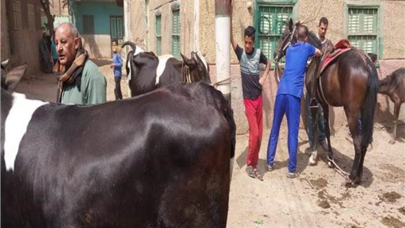 بوابة روز اليوسف