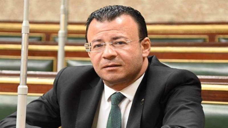 النائب محمود البرعي