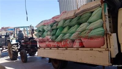 رفع درجة الاستعداد بمواقع توريد القمح وصرف مستحقات المزارعين